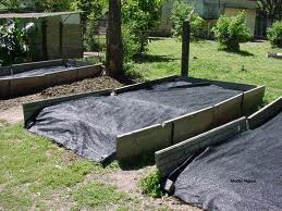 lombrices 11 ejemplo camas