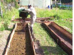 lombrices 7 produccion casera